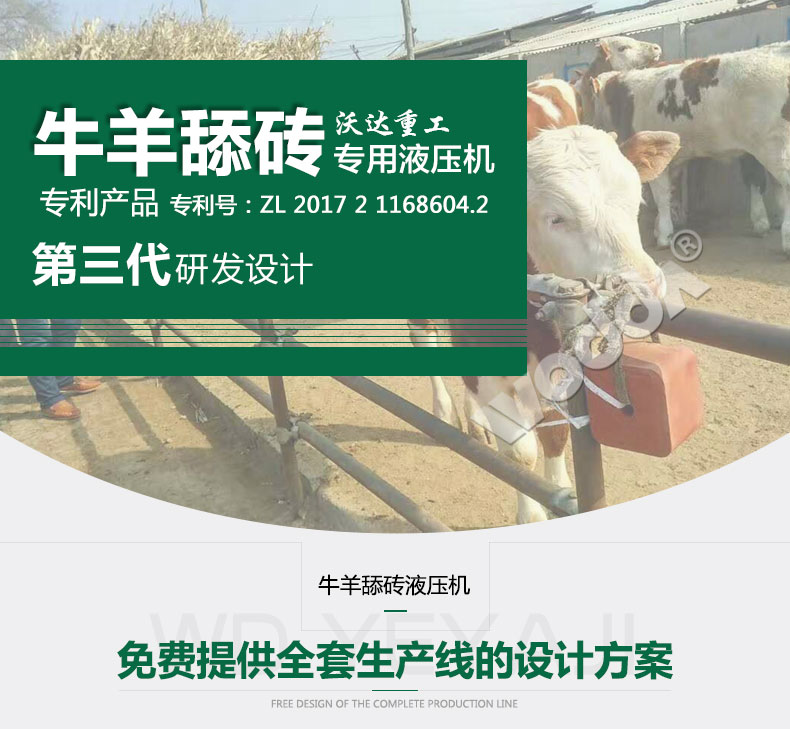 牛羊(yang)舔磚專用(yòng)液壓機